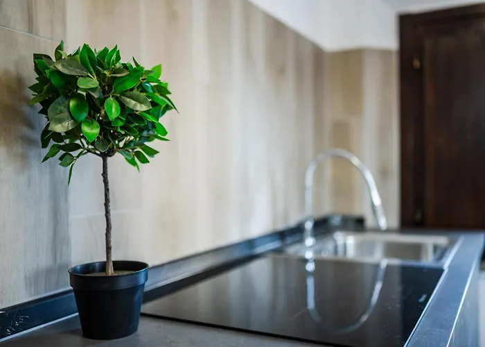 Alojamento de Acomodação e Pequeno-almoço Maserati House - H24 3*